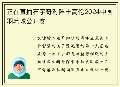 正在直播石宇奇对阵王高伦2024中国羽毛球公开赛